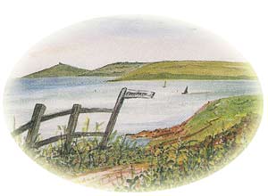 south devon bed and breakfast