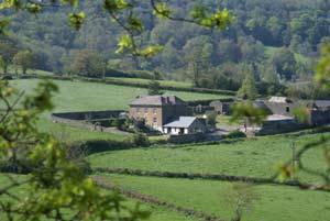 south devon bed and breakfast