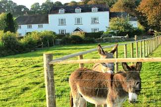 Frost Farm
